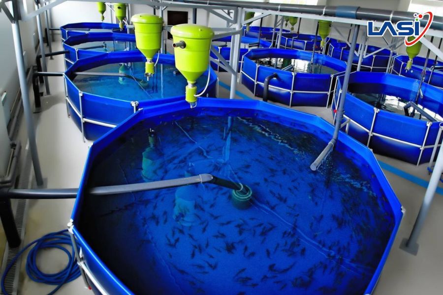 Các Mô Hình Trang Trại Thủy Sản Bền Vững