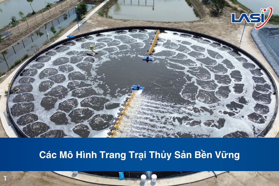 Các Mô Hình Trang Trại Thủy Sản Bền Vững