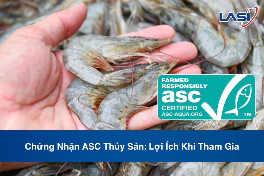 Chứng Nhận ASC Thủy Sản: Lợi Ích Khi Tham Gia