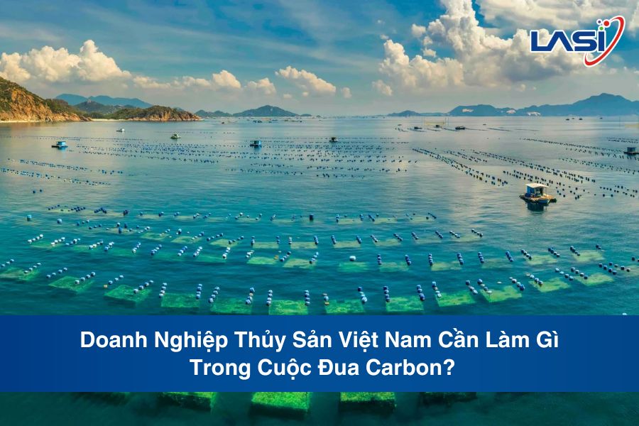 Doanh Nghiệp Thủy Sản Việt Nam Cần Làm Gì Trong Cuộc Đua Carbon?