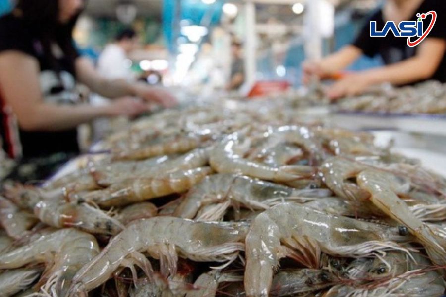 Dự Báo Tình Trạng Ngành Tôm Giai Đoạn 2026 - 2034