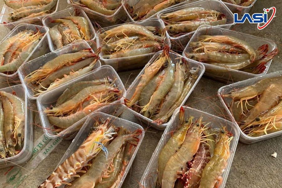 Giá Thức Ăn Tăng, Giá Tôm Nguyên Liệu Giảm Gây Áp Lực Toàn Chuỗi