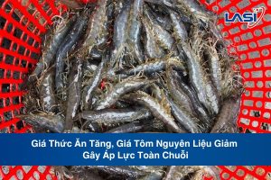 Giá Thức Ăn Tăng, Giá Tôm Nguyên Liệu Giảm Gây Áp Lực Toàn Chuỗi