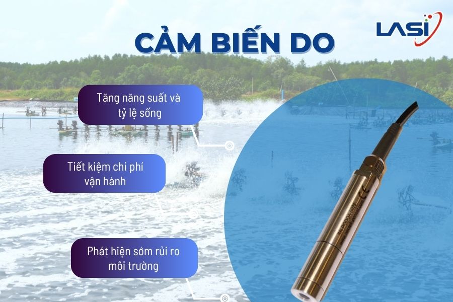 Giải Pháp Giúp Ổn Định Oxy Hòa Tan Trong Nuôi Trồng Tôm