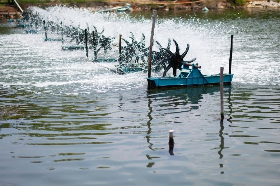 Giải Pháp Giúp Ổn Định Oxy Hòa Tan Trong Nuôi Trồng Tôm