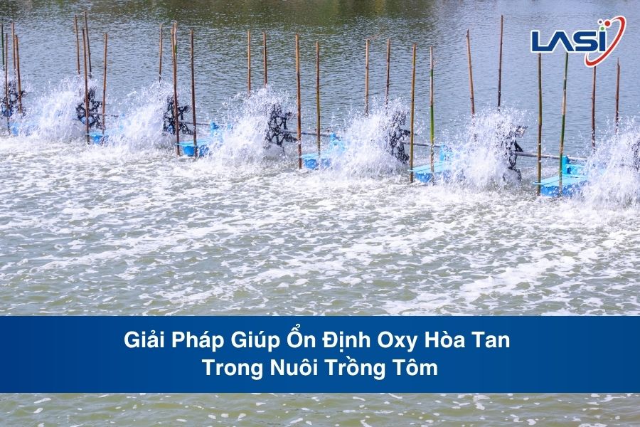 Giải Pháp Giúp Ổn Định Oxy Hòa Tan Trong Nuôi Trồng Tôm