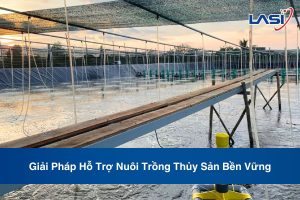 Giải Pháp Hỗ Trợ Nuôi Trồng Thủy Sản Bền Vững
