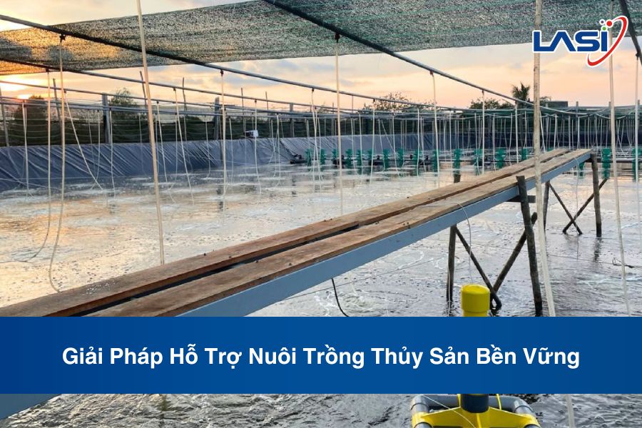 Giải Pháp Hỗ Trợ Nuôi Trồng Thủy Sản Bền Vững
