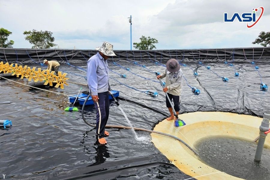 Giải Pháp Tăng Năng Suất Nuôi Tôm Cho Chủ Ao Nuôi