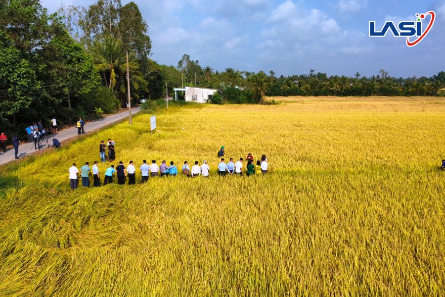 LASI Tham Dự Hội Thảo Tổng Kết Mô Hình Thực Hành Bón Phân Đúng Cách Tại Cần Thơ