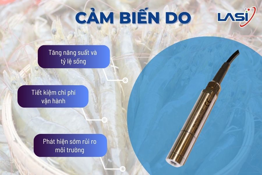 Mô Hình Nuôi Tôm Công Nghệ Cao Tại Việt Nam