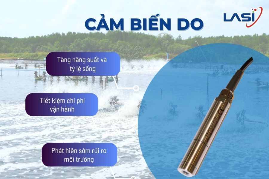 Nâng Cao Năng Suất Với Công Nghệ Nuôi Tôm Hiện Đại