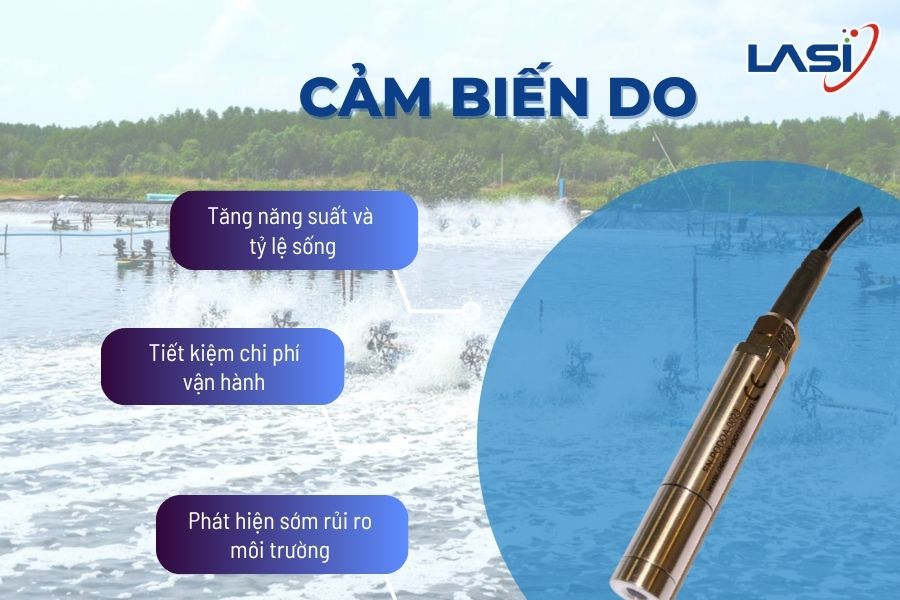 Những Yếu Tố Giúp Tăng Năng Suất Nuôi Tôm Bền Vững