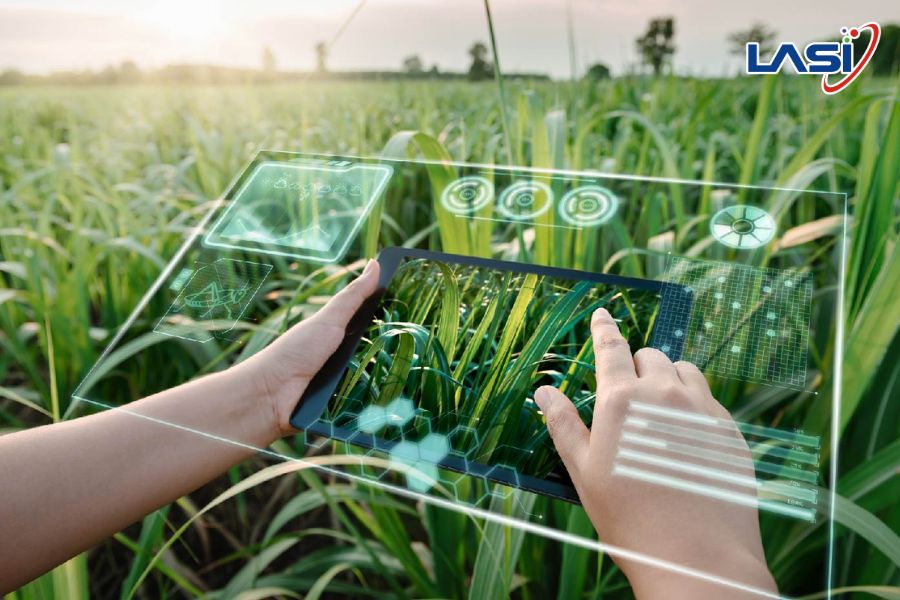 Phát Triển Nông Nghiệp Thông Minh Tại Việt Nam