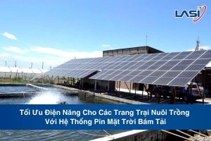 Tối Ưu Điện Năng Cho Các Trang Trại Nuôi Trồng Với Hệ Thống Pin Mặt Trời Bám Tải