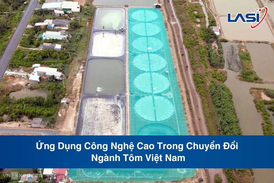 Ứng Dụng Công Nghệ Cao Trong Chuyển Đổi Ngành Tôm Việt Nam