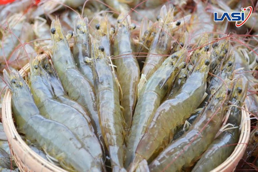 Vai Trò Của Công Nghệ Trong Phát Triển Thủy Sản Xanh