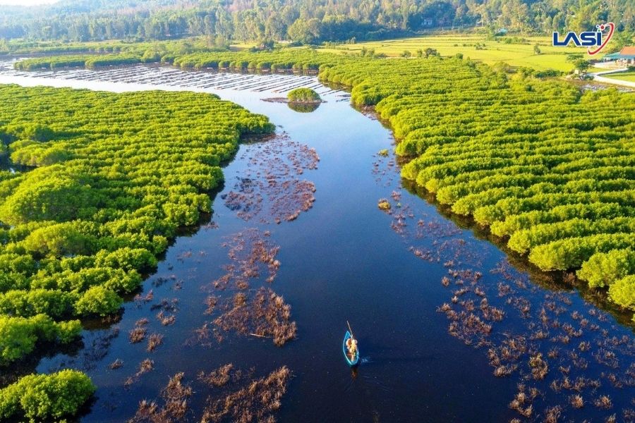 Blue Carbon Là Gì? Tại Sao Blue Carbon Lại Quan Trọng?