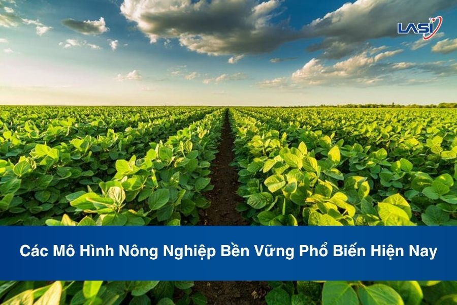 Các Mô Hình Nông Nghiệp Bền Vững Phổ Biến Hiện Nay