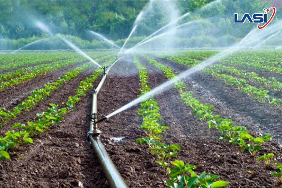 Các Phương Pháp Tiết Kiệm Nước Trong Nông Nghiệp