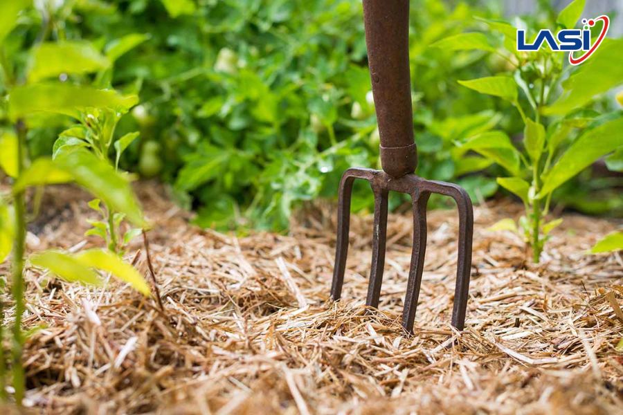 Các Phương Pháp Tiết Kiệm Nước Trong Nông Nghiệp