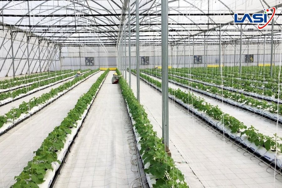 Công Nghệ Sinh Học Nông Nghiệp: Hướng Tới Nền Nông Nghiệp Bền Vững