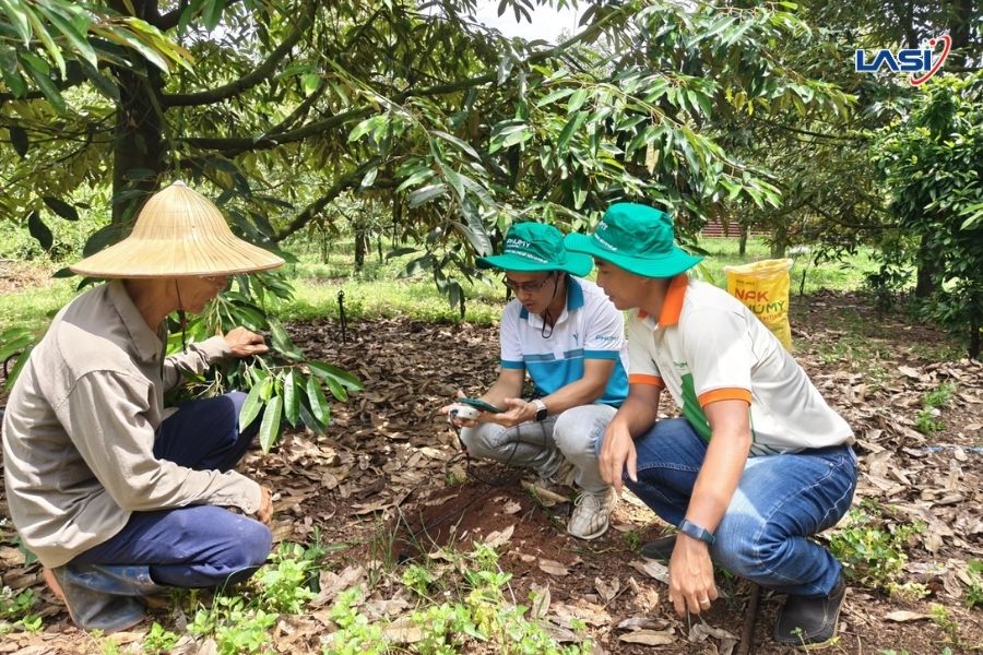 Giải Pháp Hiệu Quả Chuyển Đổi Số Trong Nông Nghiệp