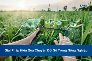 Giải Pháp Hiệu Quả Chuyển Đổi Số Trong Nông Nghiệp