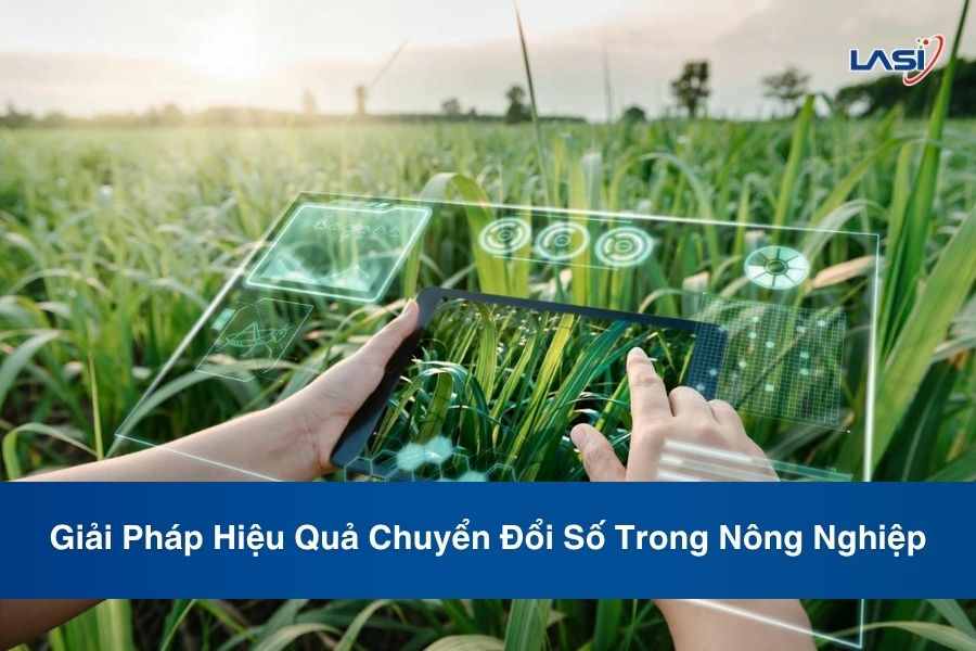 Giải Pháp Hiệu Quả Chuyển Đổi Số Trong Nông Nghiệp