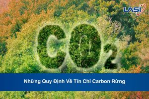Những Quy Định Về Tín Chỉ Carbon Rừng