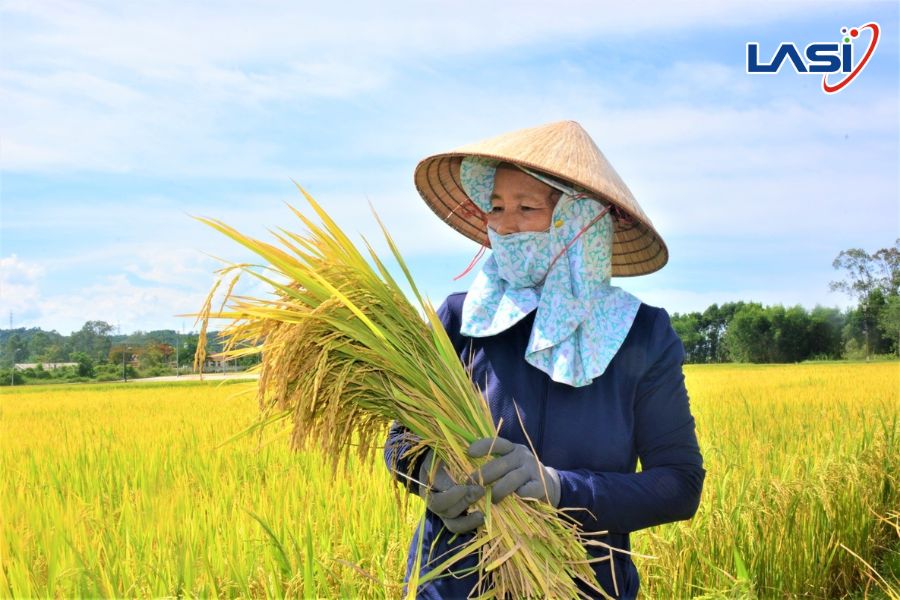 Nông Nghiệp Chính Xác: Xu Hướng Tất Yếu Của Nông Nghiệp Bền Vững