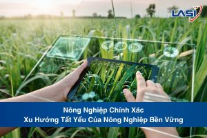 Nông Nghiệp Chính Xác: Xu Hướng Tất Yếu Của Nông Nghiệp Bền Vững