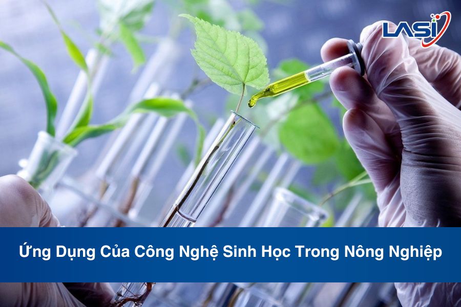 Ứng Dụng Của Công Nghệ Sinh Học Trong Nông Nghiệp
