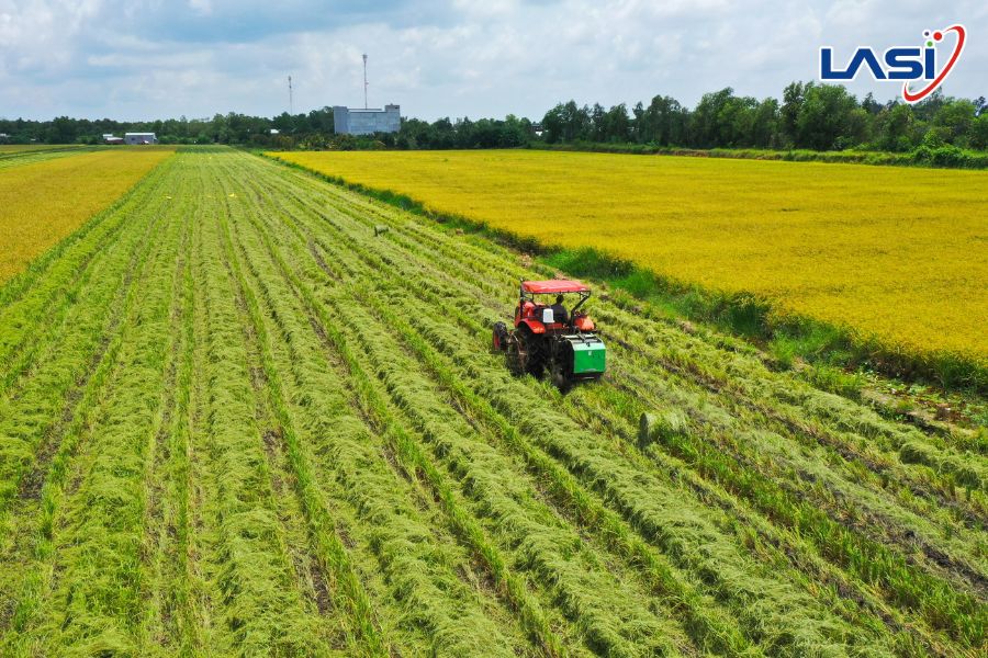 Đo Đạc Phát Thải CH4 Trong Nông Nghiệp