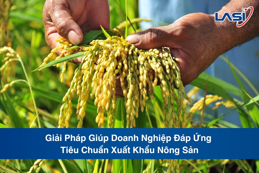 Giải Pháp Giúp Doanh Nghiệp Đáp Ứng Tiêu Chuẩn Xuất Khẩu Nông Sản