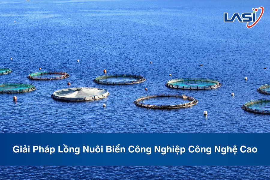 Giải Pháp Lồng Nuôi Biển Công Nghiệp Công Nghệ Cao