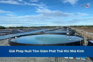 Giải Pháp Nuôi Tôm Giảm Phát Thải Khí Nhà Kính