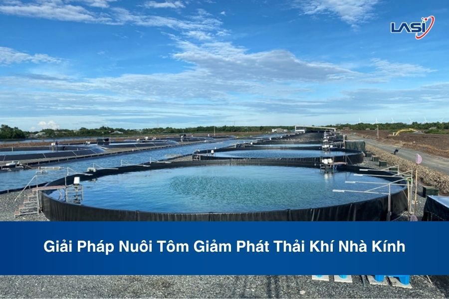 Giải Pháp Nuôi Tôm Giảm Phát Thải Khí Nhà Kính