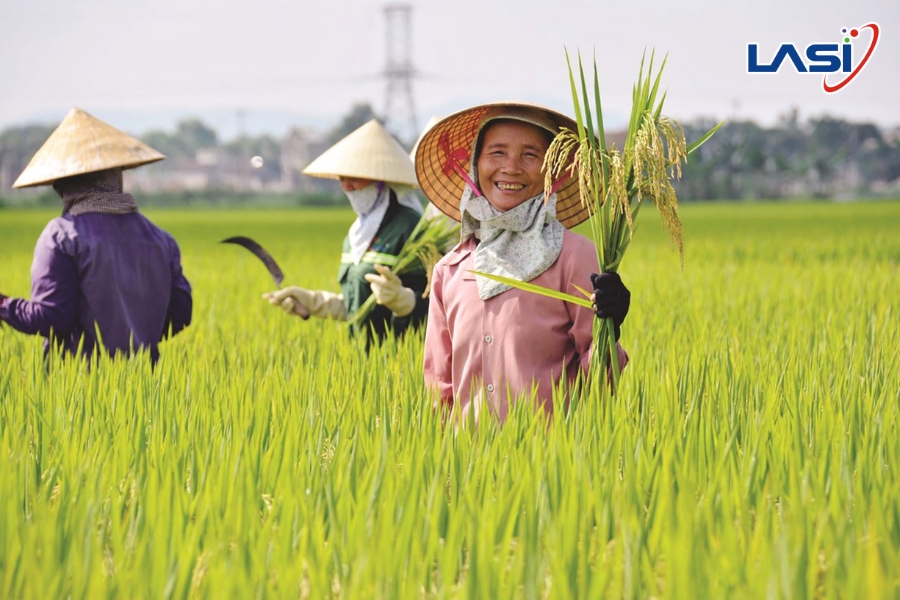 Giải Pháp Thích Ứng Biến Đổi Khí Hậu Trong Nông Nghiệp