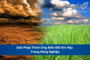 Giải Pháp Thích Ứng Biến Đổi Khí Hậu Trong Nông Nghiệp