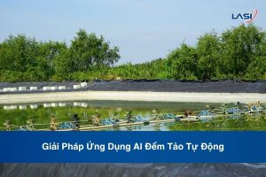 Giải Pháp Ứng Dụng AI Đếm Tảo Tự Động