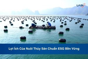Lợi Ích Của Nuôi Thủy Sản Chuẩn ESG Bền Vững