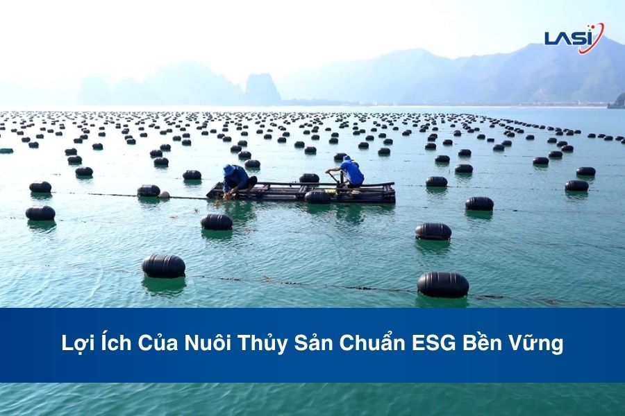Lợi Ích Của Nuôi Thủy Sản Chuẩn ESG Bền Vững