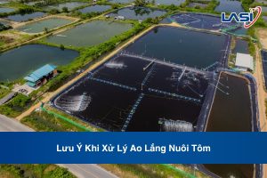 Lưu Ý Khi Xử Lý Ao Lắng Nuôi Tôm
