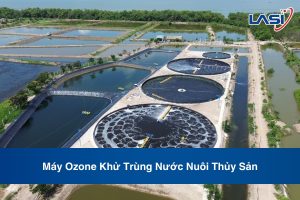 Máy Ozone Khử Trùng Nước Nuôi Thủy Sản