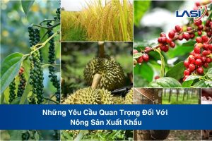 Những Yêu Cầu Quan Trọng Đối Với Nông Sản Xuất Khẩu