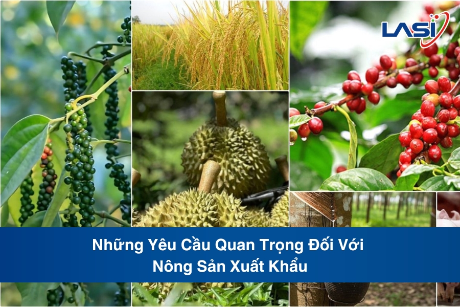 Những Yêu Cầu Quan Trọng Đối Với Nông Sản Xuất Khẩu
