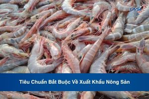 Tiêu Chuẩn Bắt Buộc Về Xuất Khẩu Nông Sản