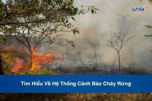 Tìm Hiểu Về Hệ Thống Cảnh Báo Cháy Rừng
