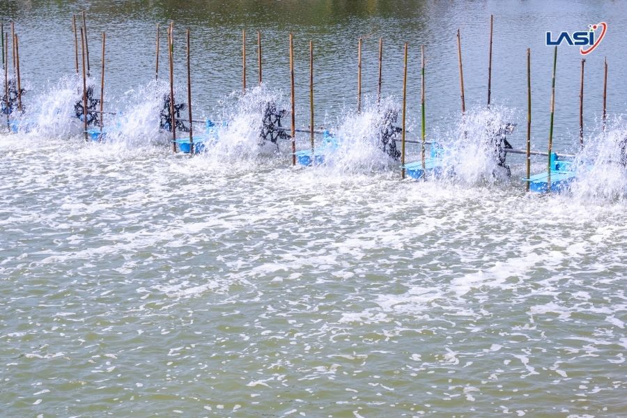 Truy Xuất Nguồn Gốc Carbon Ao Nuôi